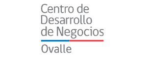 centro de desarrollo de negocios ovalle